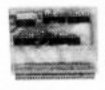 small low resolution image of Jiles II
