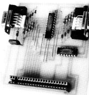 An image a printed circuit board with a ZX Spectrum 28-way plug at the bottom and a joystick ports on either side at the top of the board.