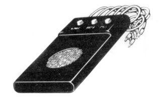 The Stonechip Echo is a flat box with a speaker and three control knobs. An array of leads protrudes from the rear of the unit.